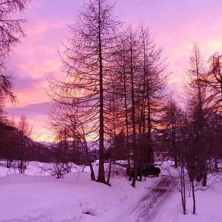 Chalet Miel De La Cayolle-Estenc Entraunes Eksteriør billede